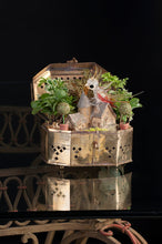 Load image into Gallery viewer, Miniature Gardens Collection