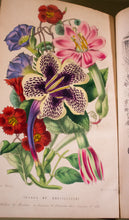 Load image into Gallery viewer, 1846 The Annals of Horticulture