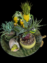 Load image into Gallery viewer, Miniature Gardens Collection