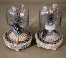 Load image into Gallery viewer, Pair of Domed Miniature Beetle Displays