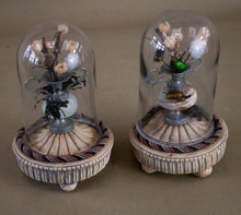 Load image into Gallery viewer, Pair of Domed Miniature Beetle Displays