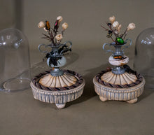 Load image into Gallery viewer, Pair of Domed Miniature Beetle Displays