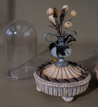 Load image into Gallery viewer, Pair of Domed Miniature Beetle Displays