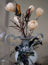 Load image into Gallery viewer, Pair of Domed Miniature Beetle Displays