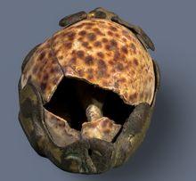 Load image into Gallery viewer, Han Period Deer Form Gilt Bronze Mat Weight