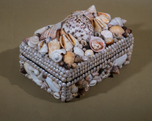Load image into Gallery viewer, Grotto  Style Vintage Shell Encrusted Jewelry  Box Collection