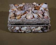 Load image into Gallery viewer, Grotto  Style Vintage Shell Encrusted Jewelry  Box Collection