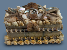 Load image into Gallery viewer, Grotto Style Vintage Shell Encrusted Jewelry Box Collection