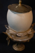 Load image into Gallery viewer, Wunderkammer Bespoke Ostrich Egg Collection