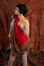 Load image into Gallery viewer, Paisley Shawl Collection