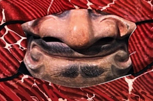 Load image into Gallery viewer, Japanese Mask Collection (PPE)