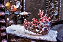 Load image into Gallery viewer, Coquille's  Folly Grotto Crown