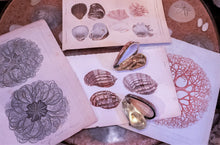 Load image into Gallery viewer, Victorian Style Perfume or Snuff Boxes