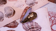 Load image into Gallery viewer, Victorian Style Perfume or Snuff Boxes