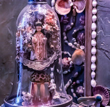 Load image into Gallery viewer, Grotto Under Cloche