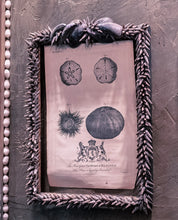 Load image into Gallery viewer, Rocaille Grotto Style Custom Frames