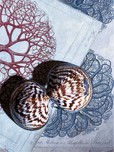 Load image into Gallery viewer, Victorian Style Perfume or Snuff Boxes