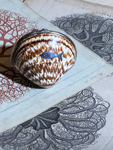 Load image into Gallery viewer, Victorian Style Perfume or Snuff Boxes