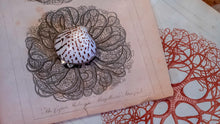 Load image into Gallery viewer, Victorian Style Perfume or Snuff Boxes