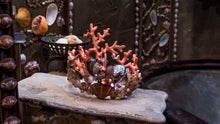 Load image into Gallery viewer, Coquille's  Folly Grotto Crown