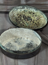 Load image into Gallery viewer, South East Asian Silver  Betel /Lime Box.
