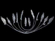Load image into Gallery viewer, Butterflies in Your Hair!

