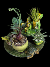 Load image into Gallery viewer, Miniature Gardens Collection
