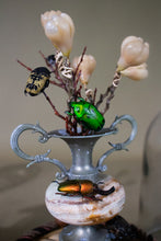 Load image into Gallery viewer, Pair of Domed Miniature Beetle Displays
