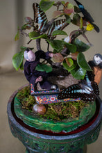 Load image into Gallery viewer, Asian Domed Lepidoptera Dream  Diorama Landscape with  Butterflies on a Jade Tree
