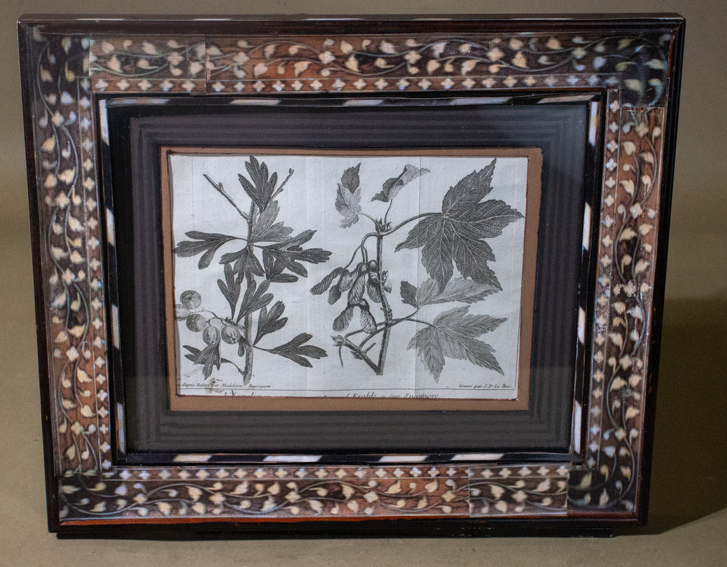 Pr. of Early Botanicals with Atelier Carpe Diem Created frames