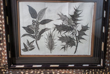 Load image into Gallery viewer, Pr. of Early Botanicals with Atelier Carpe Diem Created frames
