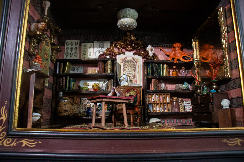 Diorama of a Cabinet of Curiosities Room by Coral Hunger Coad