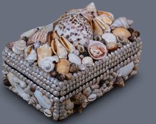 Load image into Gallery viewer, Grotto  Style Vintage Shell Encrusted Jewelry  Box Collection
