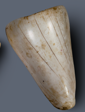 Load image into Gallery viewer, Massive Conus Shell Warrior  Armbands from Irian Jaya.

