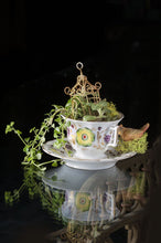 Load image into Gallery viewer, Miniature Gardens Collection
