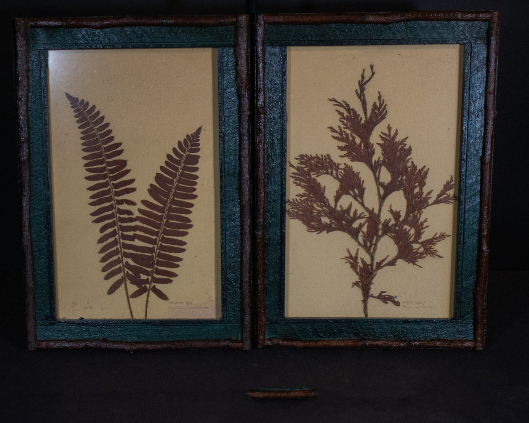Pair of Vintage Botanical Pressed Ferns in Unique Frames