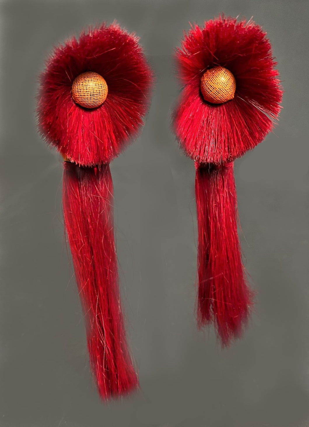 Earrings from Nagaland