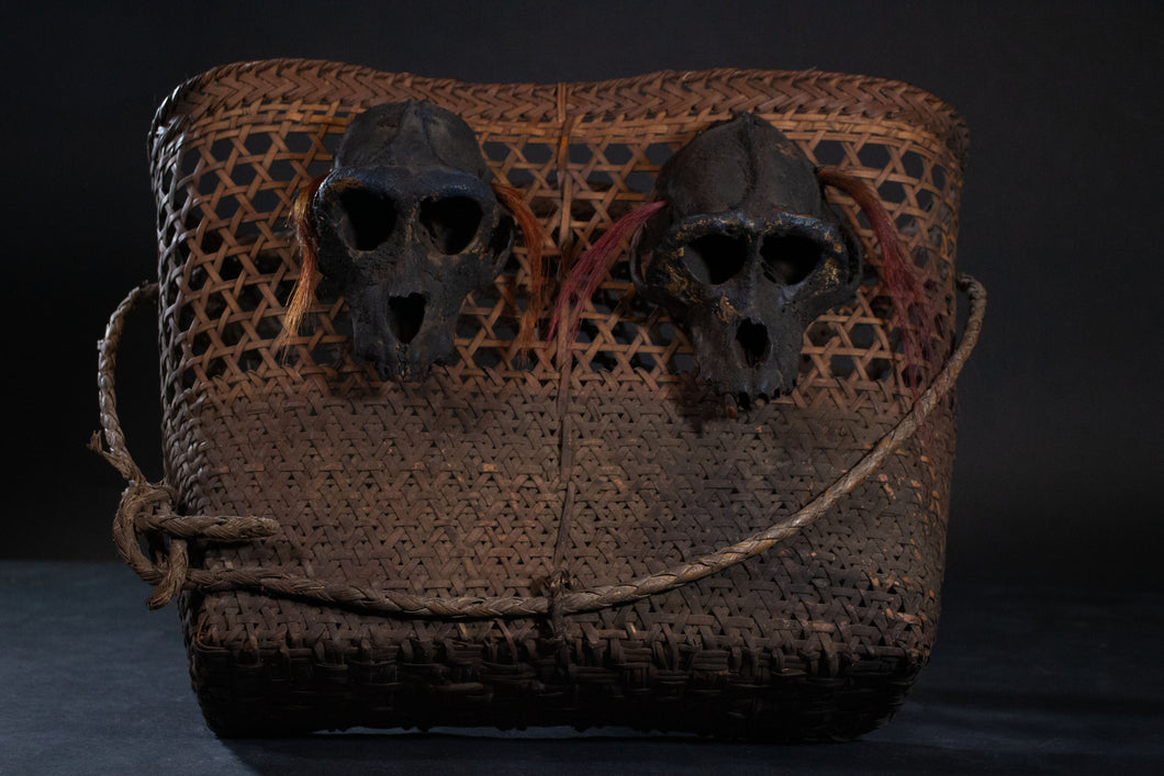 Side view of Naga headtaker's basket with simian skulls