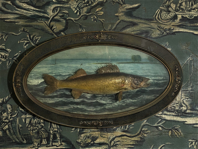 Large taxidermy fish mounted against painted nautical backdrop, under glass in oval carved frame.