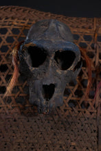 Load image into Gallery viewer, Skull closeup 
