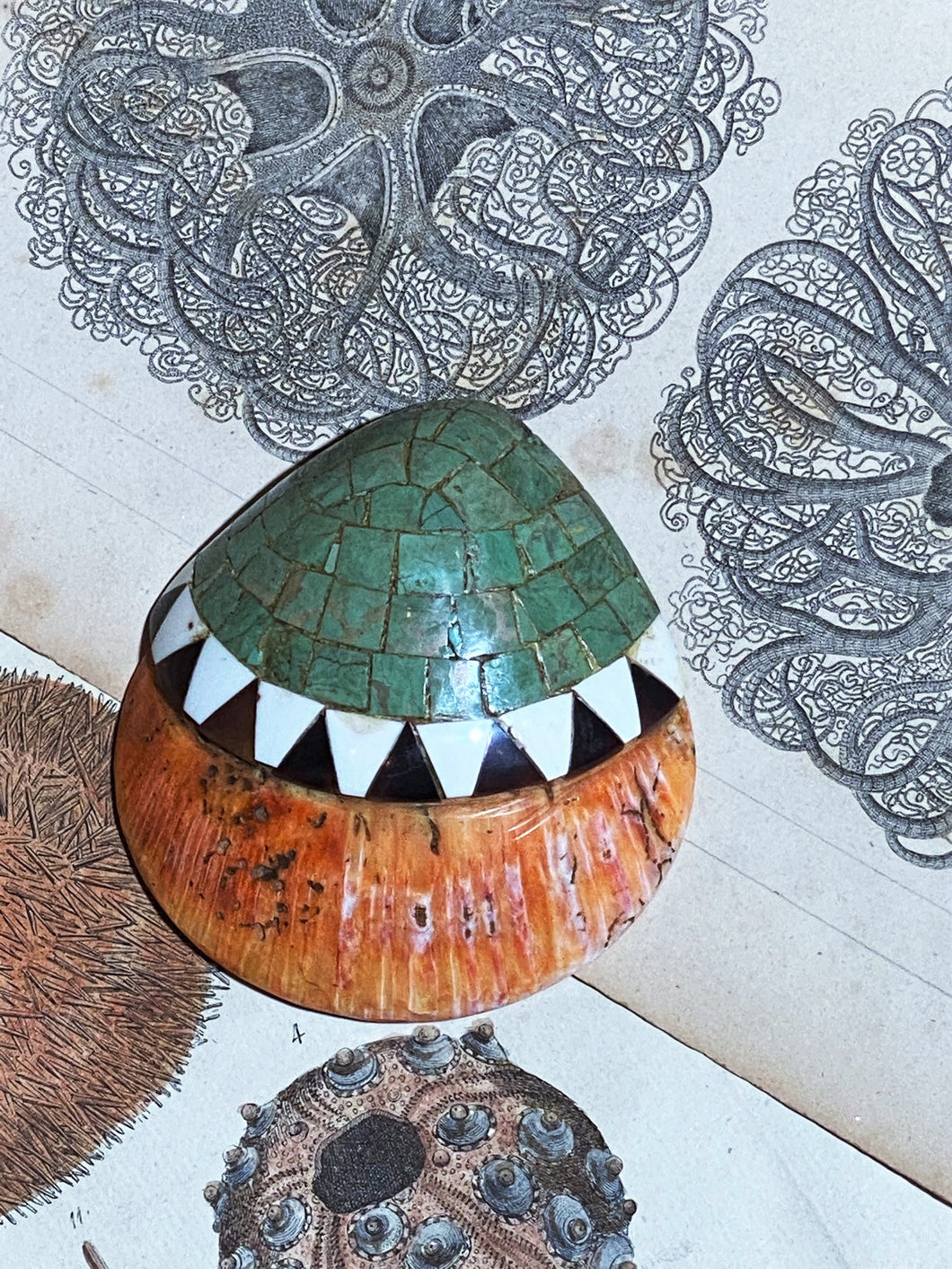 Vintage shell inlaid in turquoise and jet black mosaic typical of Santo Domingo Pueblo in New Mexico.