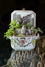Load image into Gallery viewer, Miniature Gardens Collection
